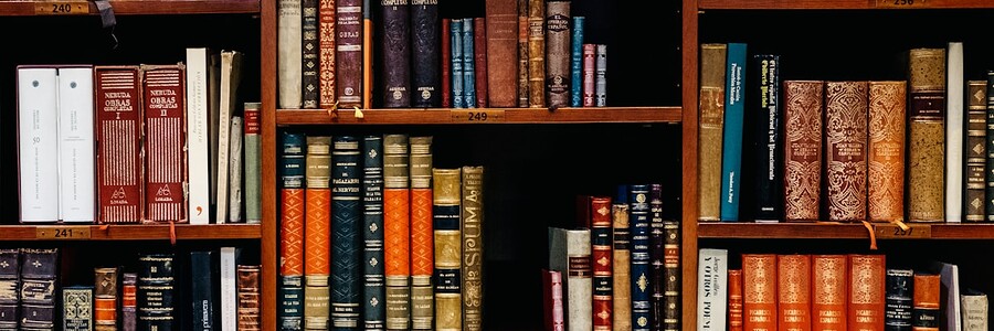 Vorschaubild zum Artikel: Cameo verklagt OpenAI wegen Markenrechtsverletzung