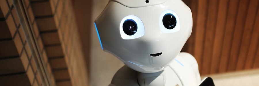 Vorschaubild zum Artikel: KI-Paradox: Gut bezahlte Jobs stärker bedroht